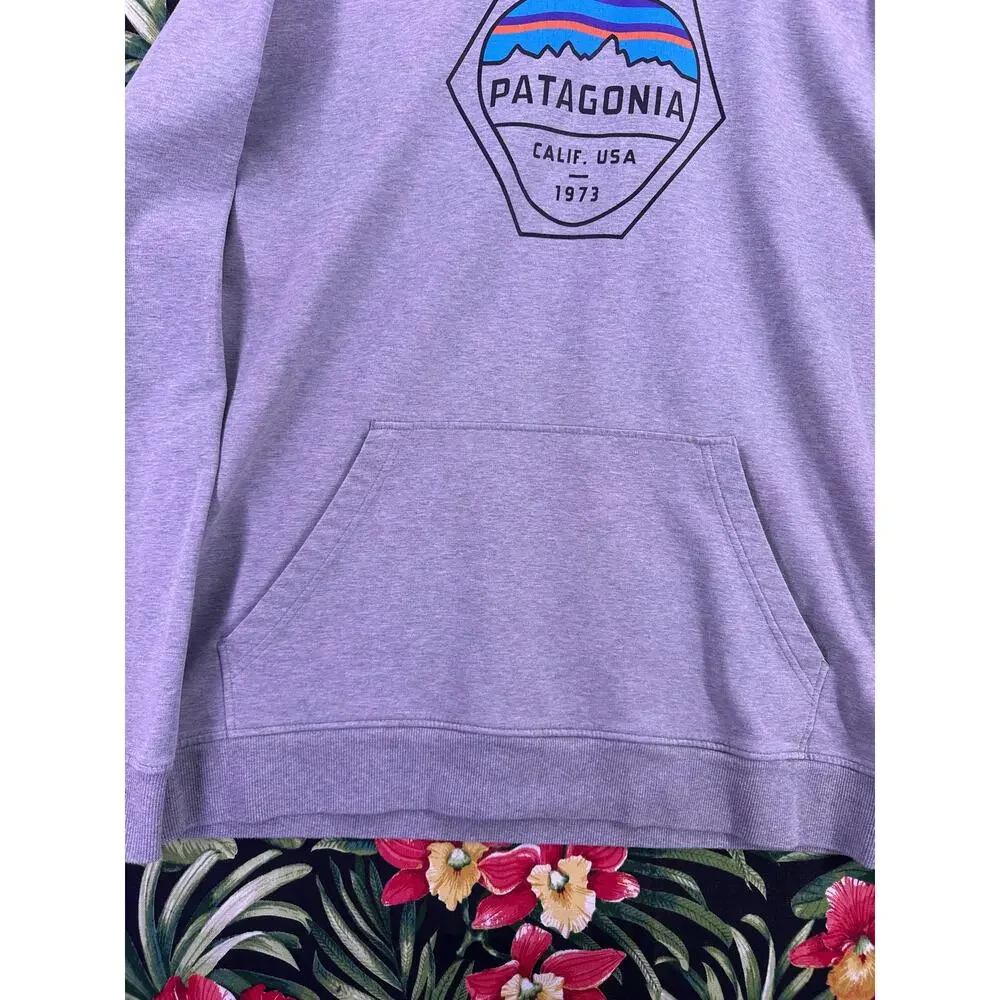 Patagonia Light Gray Hoodie IconLogo On The Chest Size Large